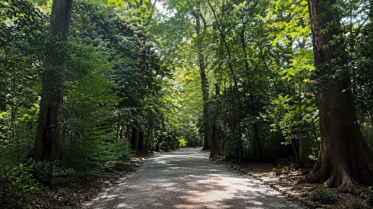 Rinshi-no-mori Park Course running course